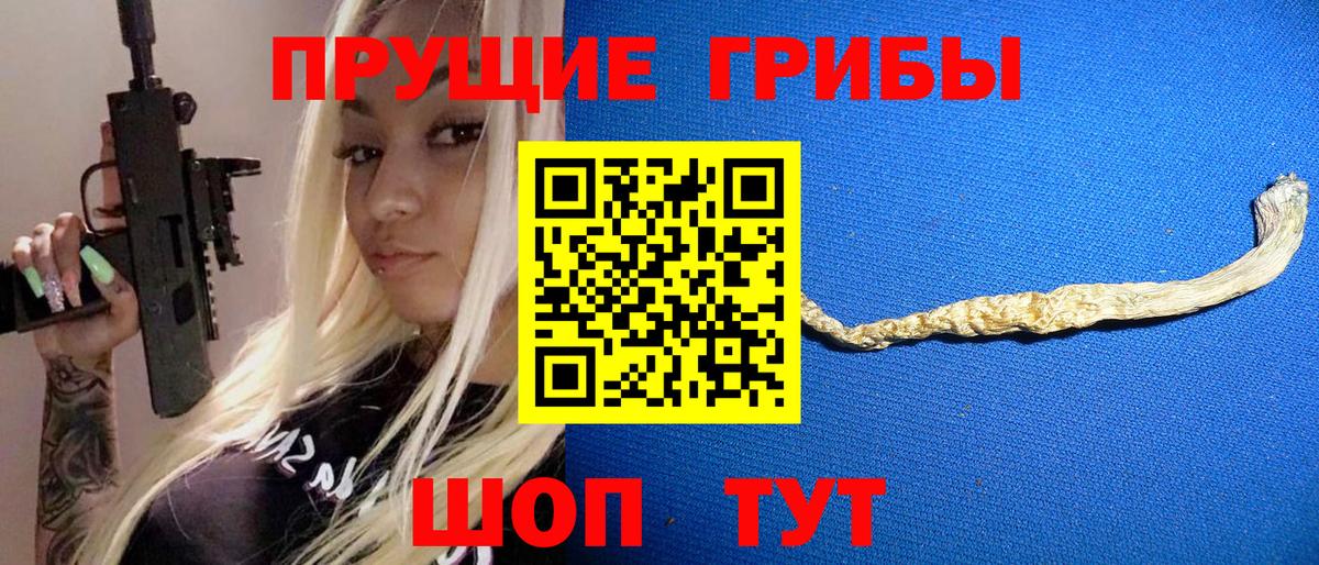 Галлюциногенные грибы Psilocybe  Вход с VPN  Псилоцибиновые грибы GOLDEN TEACHER  Зеленокумск 